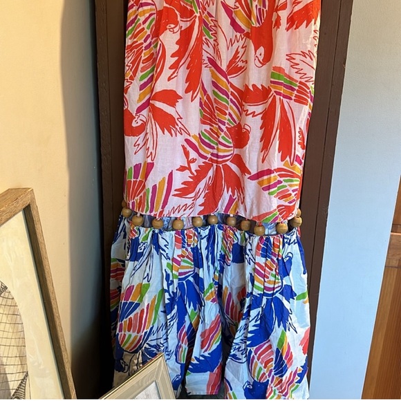 Farm Rio Mixed Colors Bird Balls Dress - Picture 7 of 7